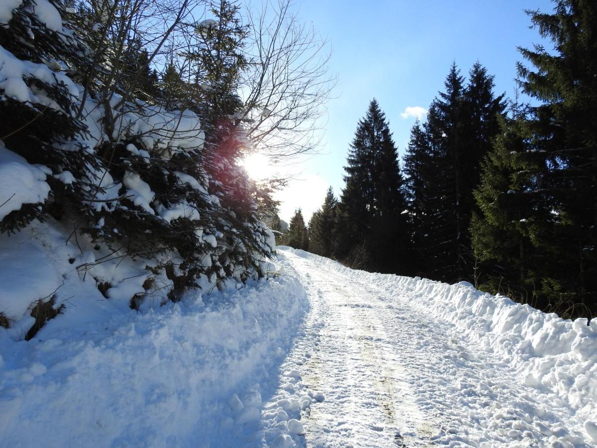 Sankt Nikolai im Sölktal Biobauernhof Spieszschweiger 빌라 외부 사진