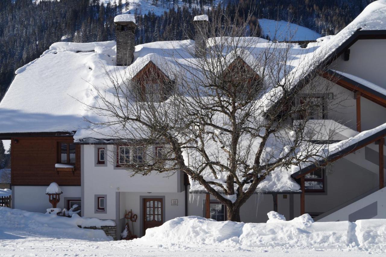 Sankt Nikolai im Sölktal Biobauernhof Spieszschweiger 빌라 외부 사진