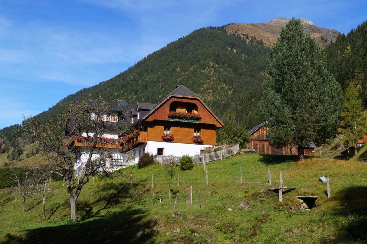 Sankt Nikolai im Sölktal Biobauernhof Spieszschweiger 빌라 외부 사진