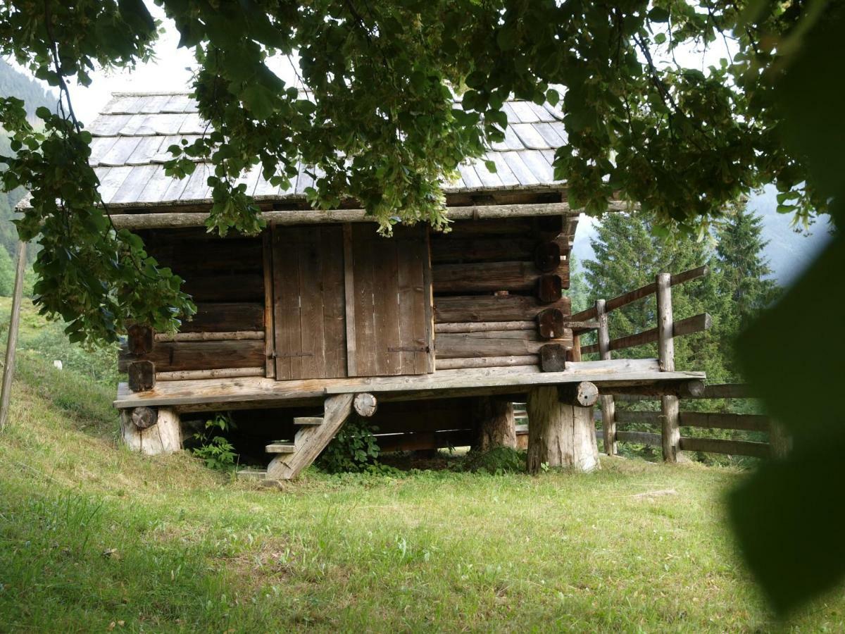 Sankt Nikolai im Sölktal Biobauernhof Spieszschweiger 빌라 외부 사진