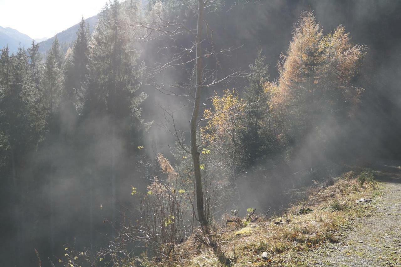 Sankt Nikolai im Sölktal Biobauernhof Spieszschweiger 빌라 외부 사진